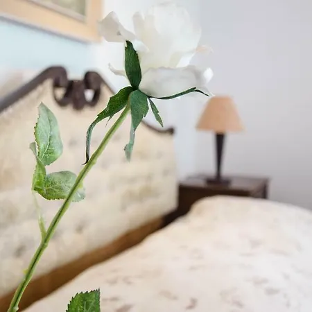 Penthouse Presernovo Nabrezje Appartement *