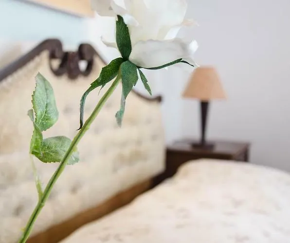 Penthouse Presernovo Nabrezje Apartma *